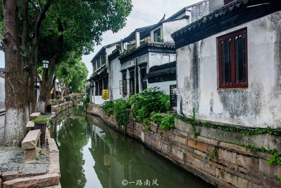 救援老画家